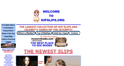 Desktop Screenshot of nipslips.org