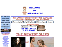 Tablet Screenshot of nipslips.org